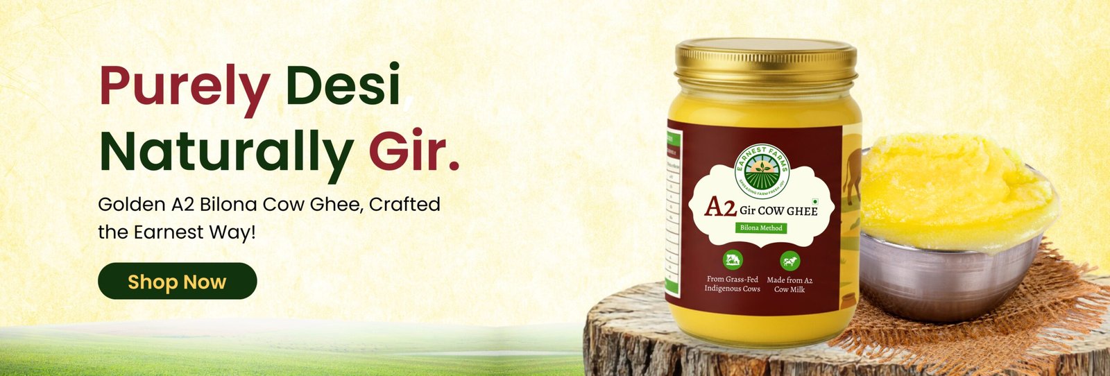 earnest -ghee-banner